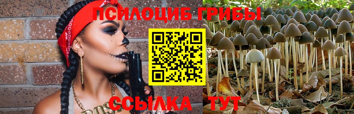 Псилоцибиновые грибы ЛСД Отрадный